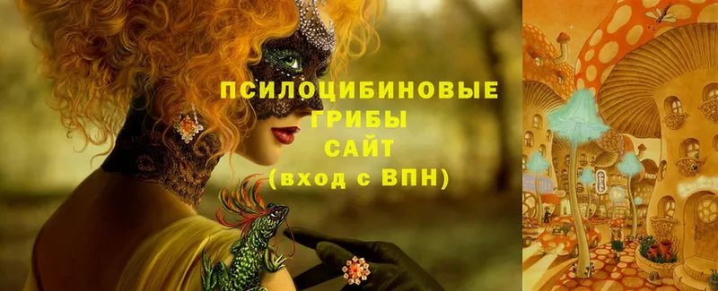 Галлюциногенные грибы MAGIC MUSHROOMS  купить  цена  Демидов 